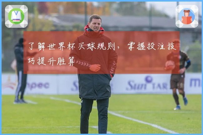 了解世界杯买球规则，掌握投注技巧提升胜算