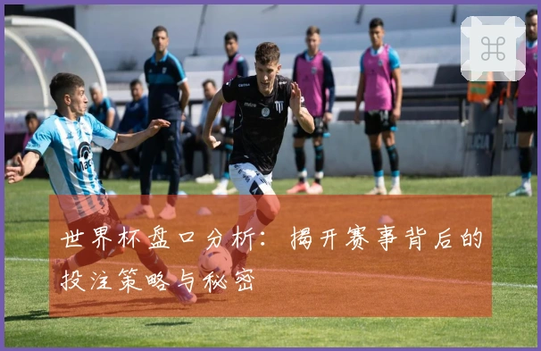 世界杯盘口分析：揭开赛事背后的投注策略与秘密
