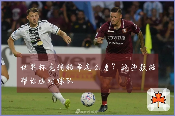 世界杯竞猜赔率怎么看？这些数据帮你选对球队