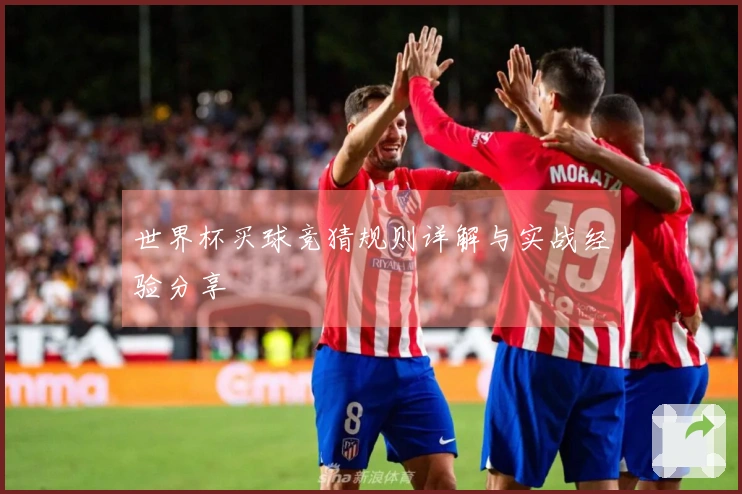 世界杯买球竞猜规则详解与实战经验分享