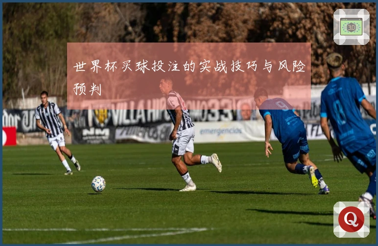 世界杯买球投注的实战技巧与风险预判