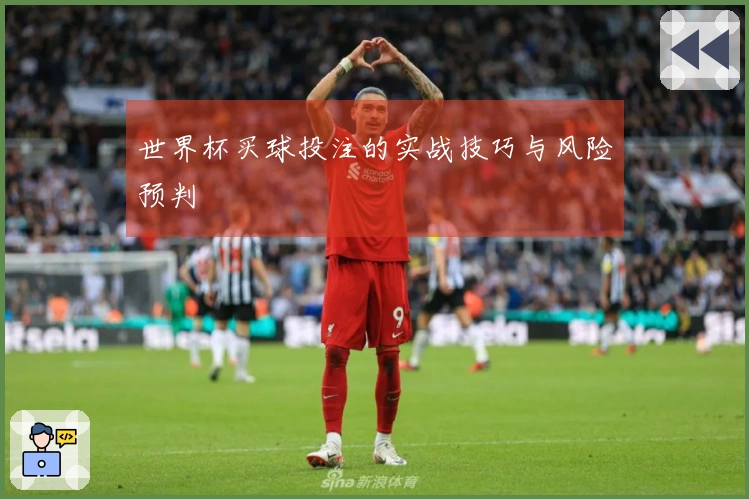 世界杯买球投注的实战技巧与风险预判