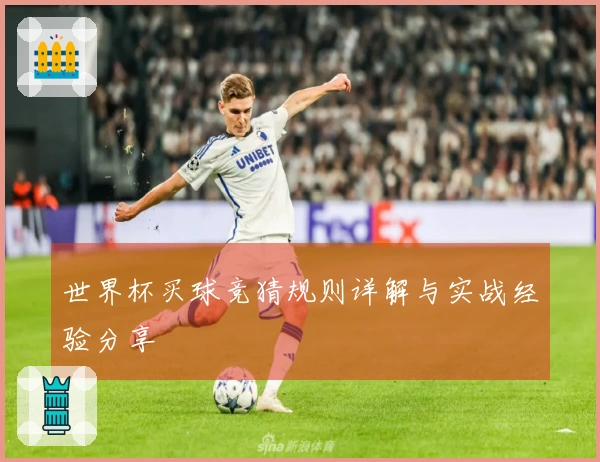 世界杯买球竞猜规则详解与实战经验分享