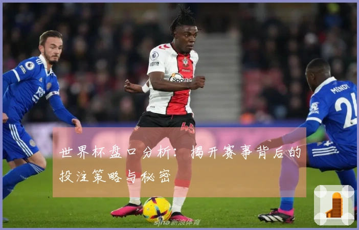 世界杯盘口分析：揭开赛事背后的投注策略与秘密
