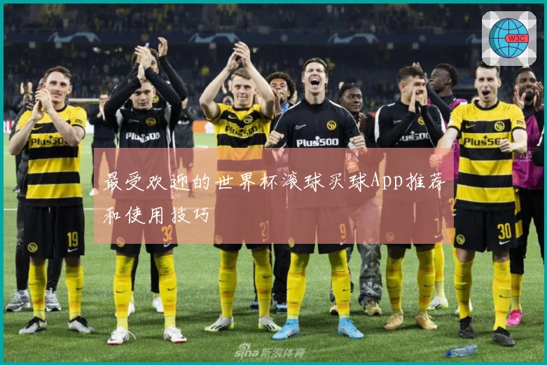 最受欢迎的世界杯滚球买球App推荐和使用技巧