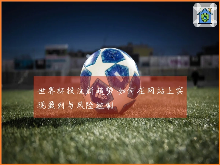 世界杯投注新趋势 如何在网站上实现盈利与风险控制