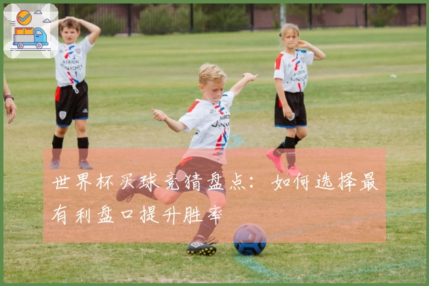 世界杯买球竞猜盘点：如何选择最有利盘口提升胜率